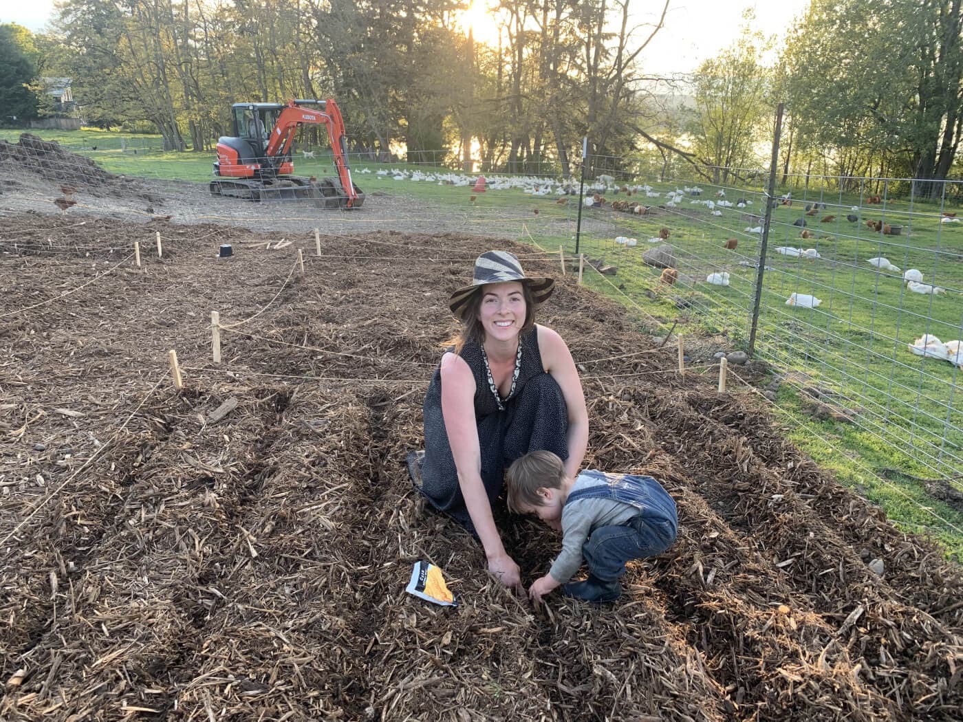 Terraforming a Garden image 2