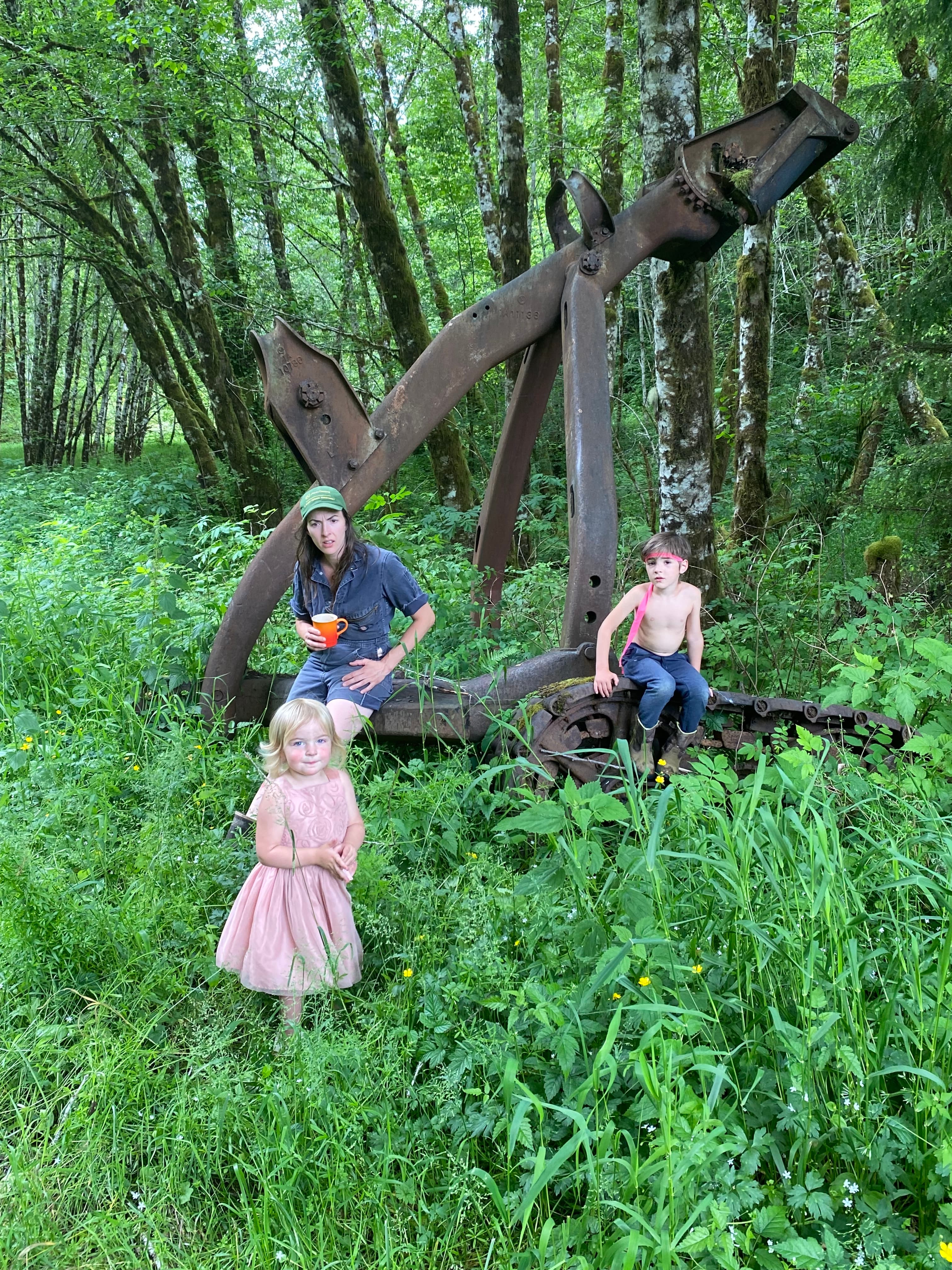 Summer Solstice image 4