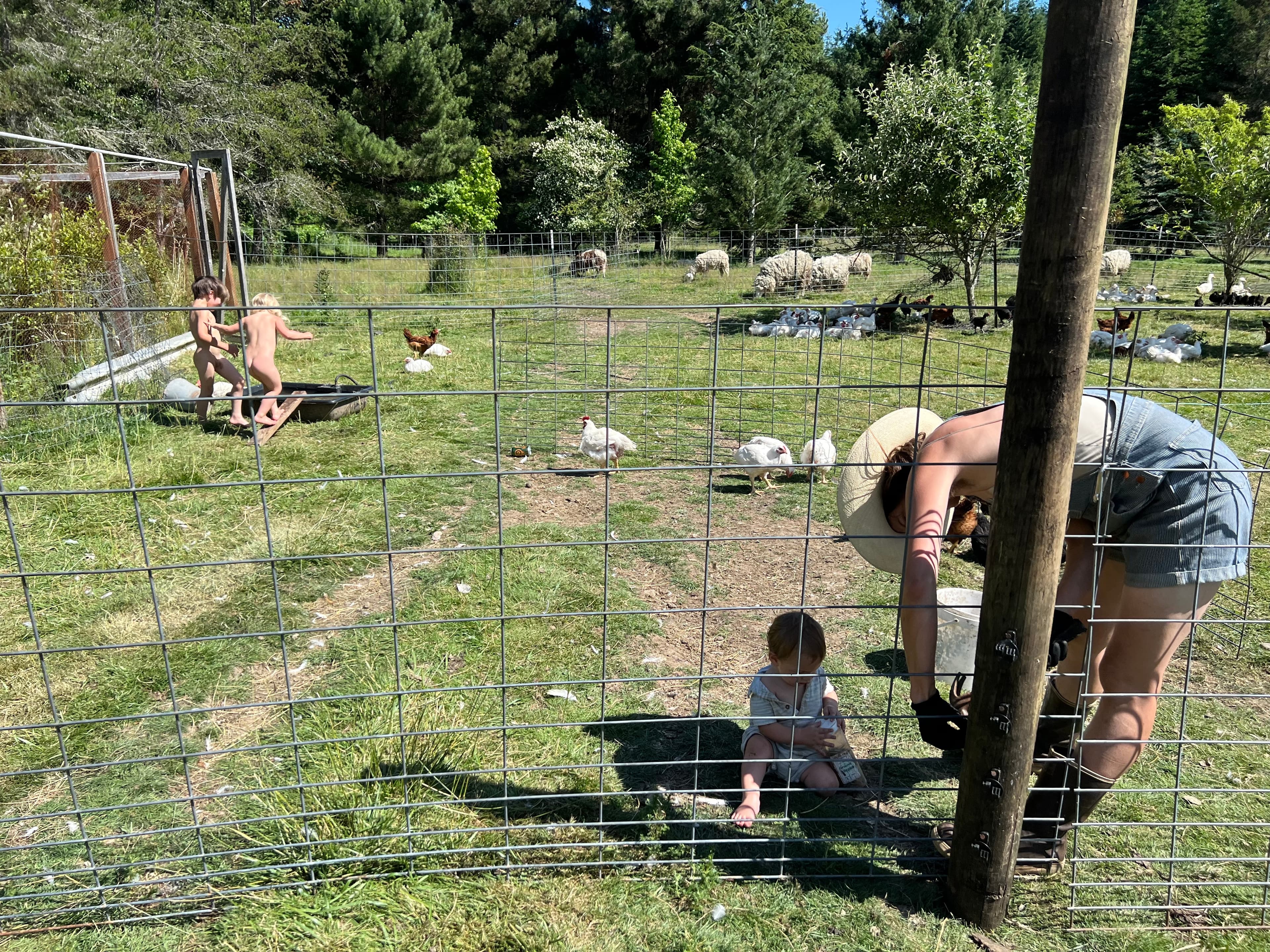 Bridge of the Gods image 3