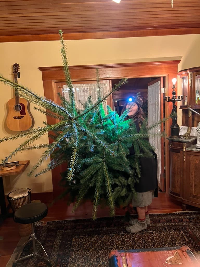 Christmas Trees, Snow Flurries and Mulled Wine image 2