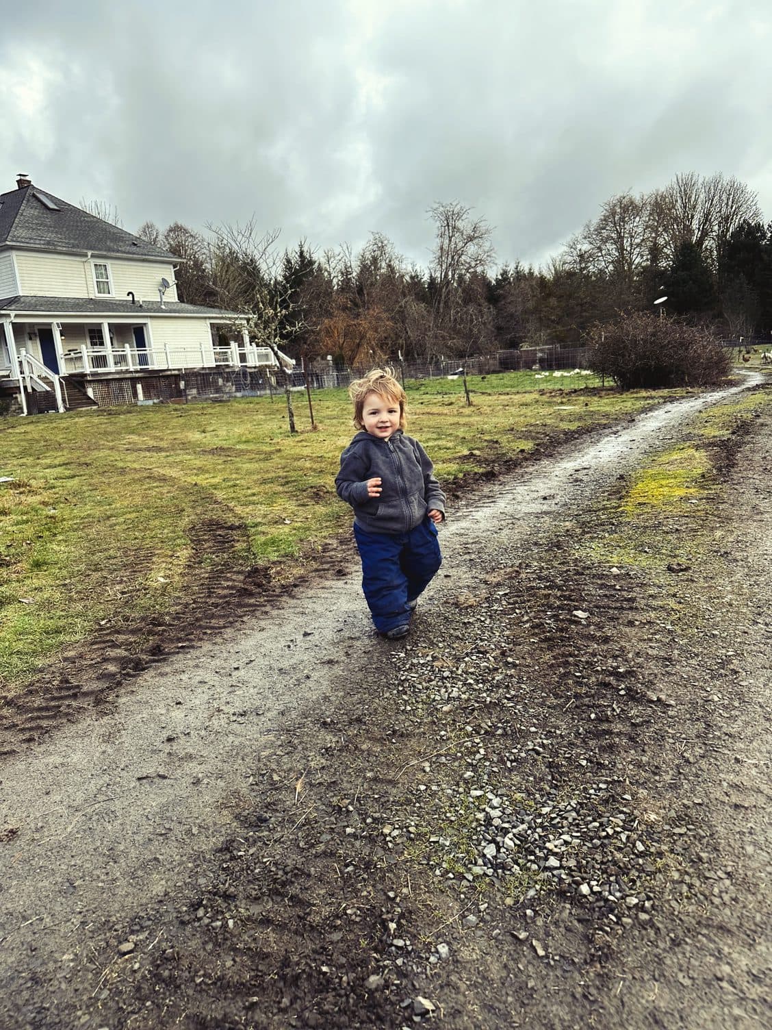 Farm Life, Farm Rice image 3