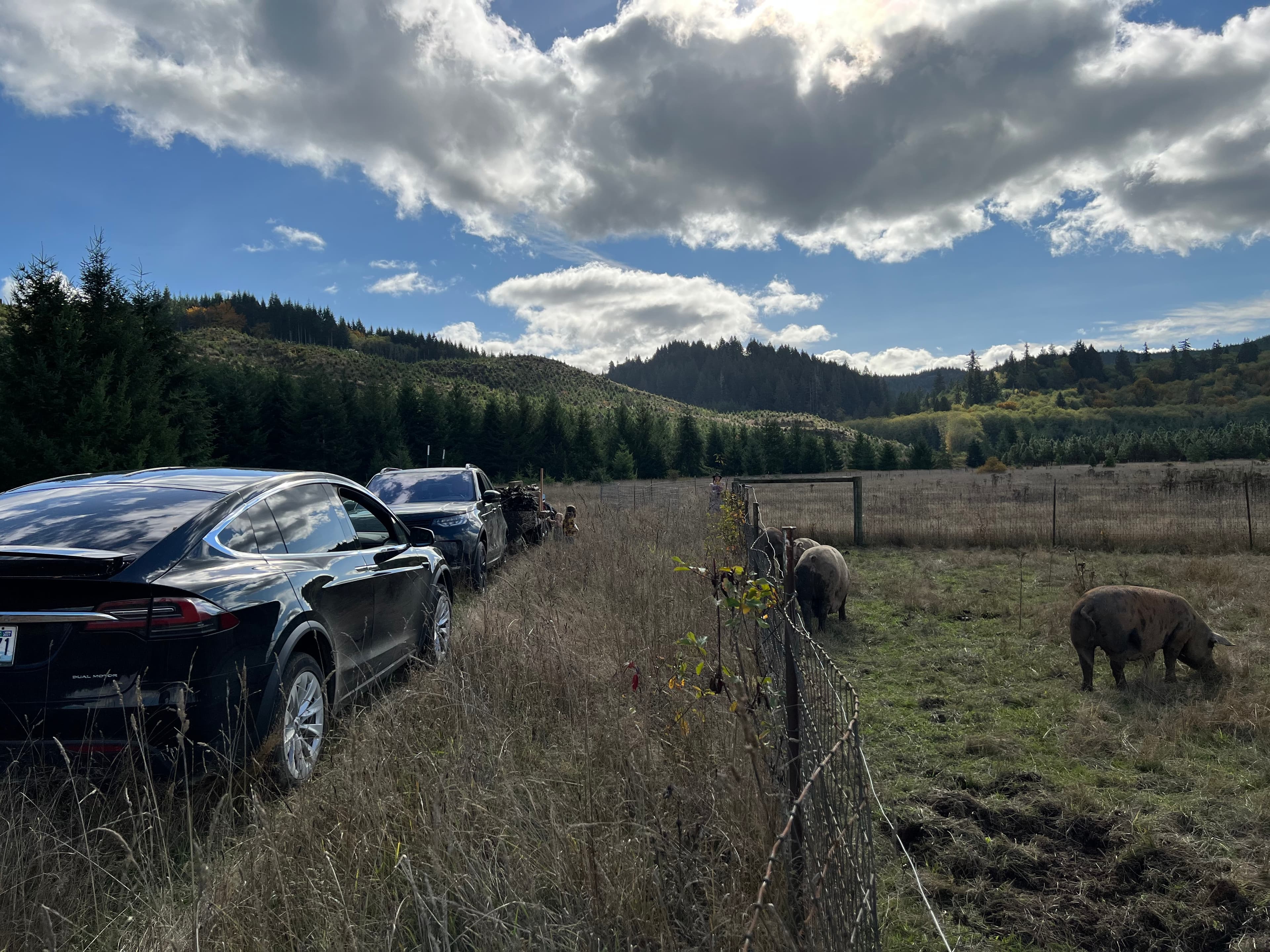 Fencing Neverstill image 8