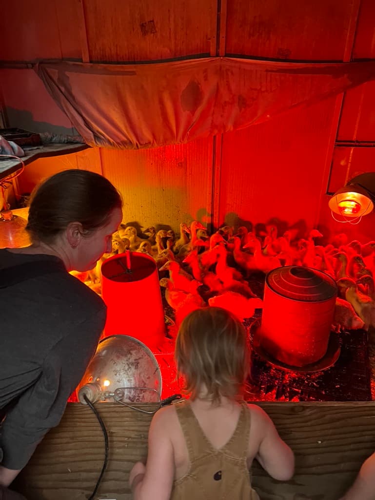 Racking Wine image 4