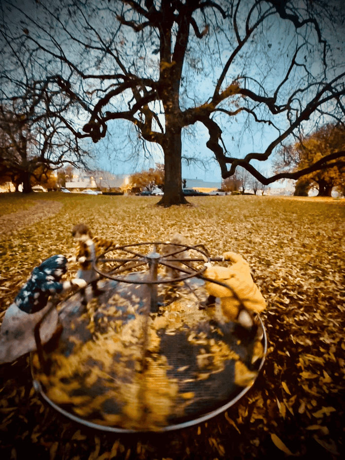 Sorry, I can’t. I’m Busy Spinning. image 2