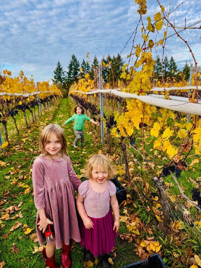 The Dish That Makes You image 2