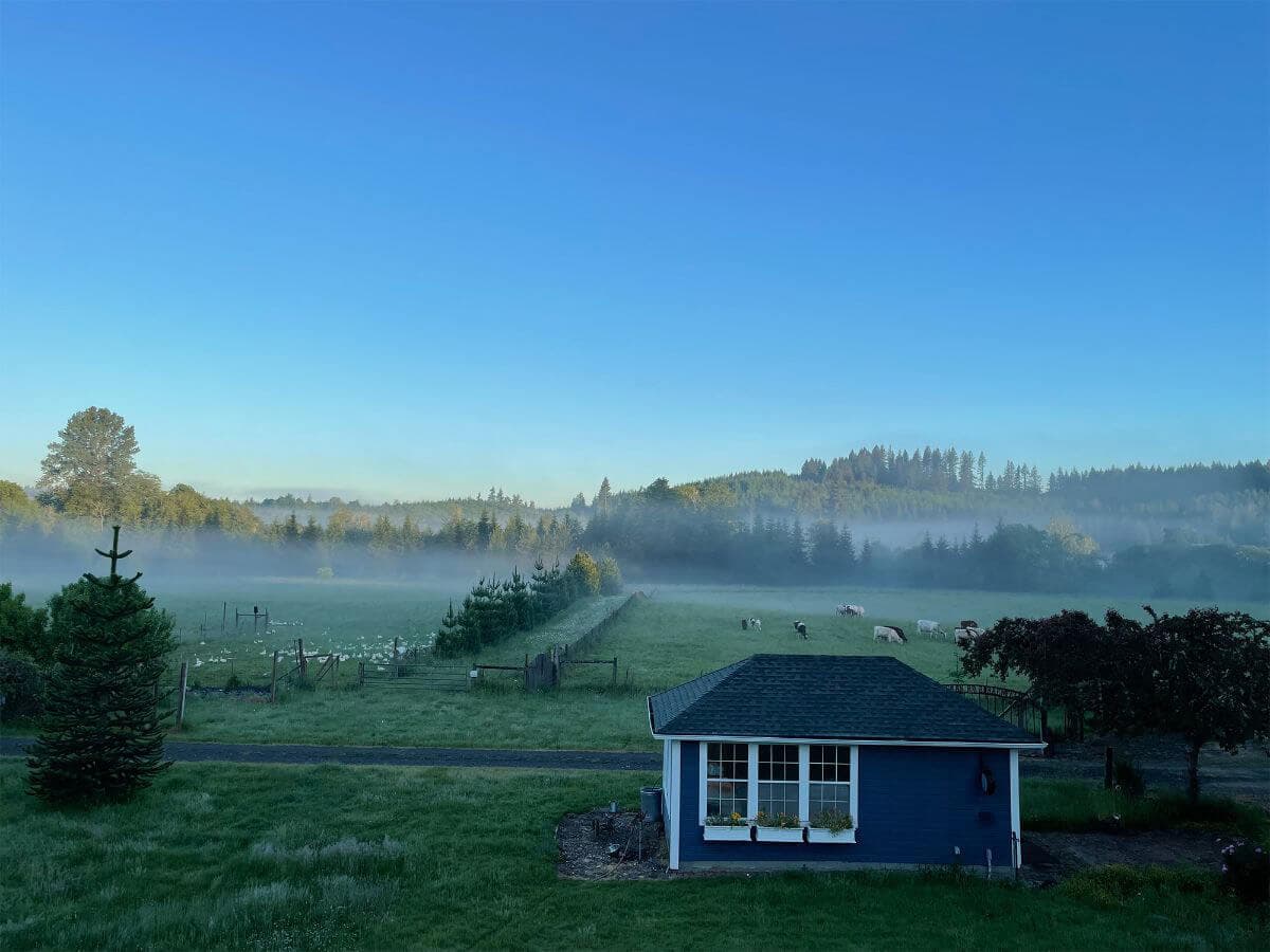 The Misty Mountains image 1