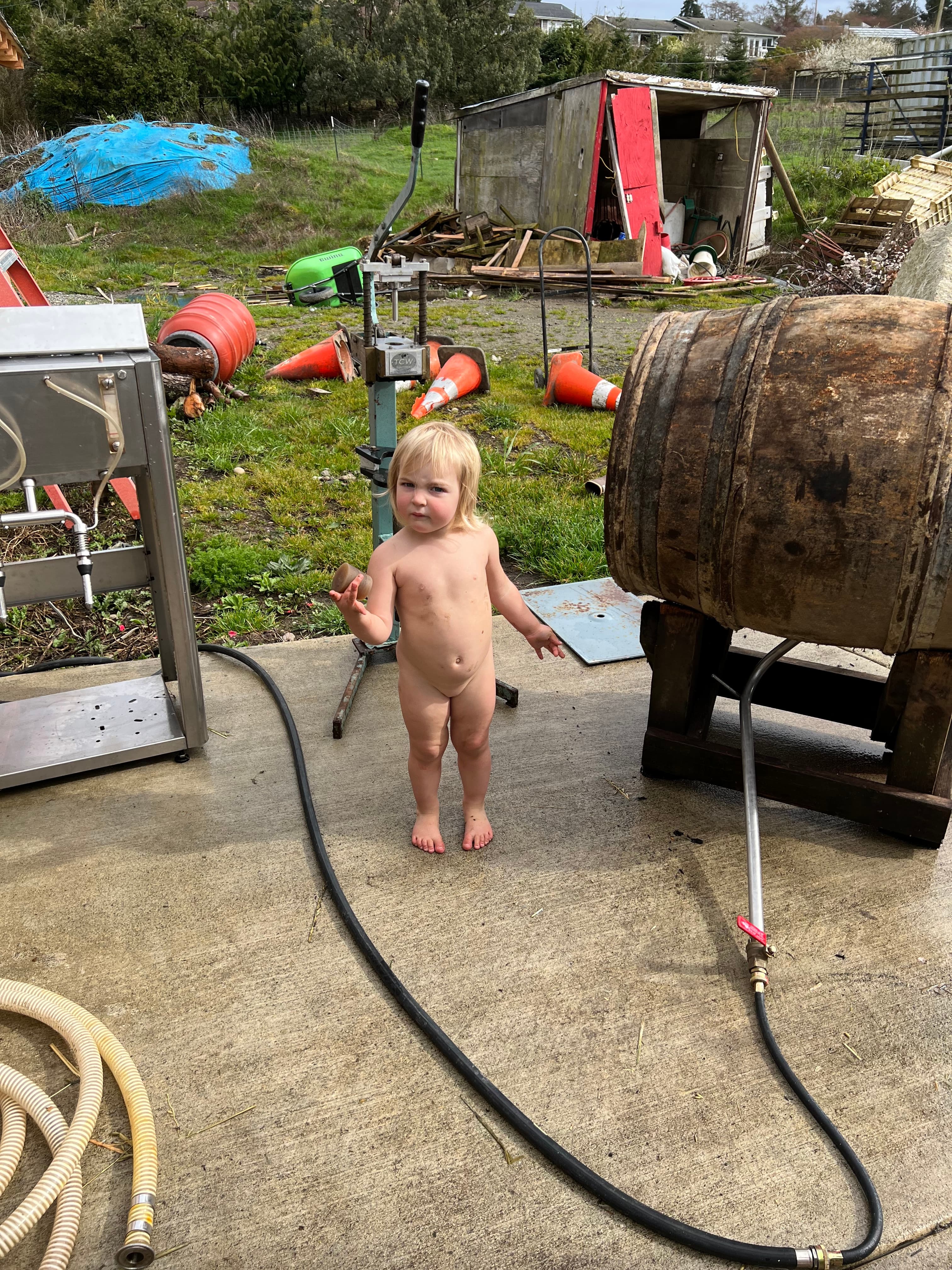 Vashon Wine Bottling image 4