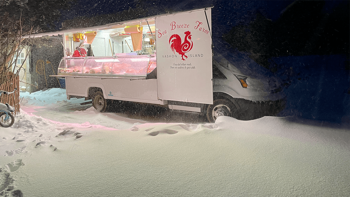 Waldo's Stuck in the Snow! image 1